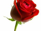 Ammar07804864419